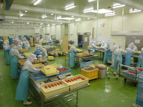工場見学の様子