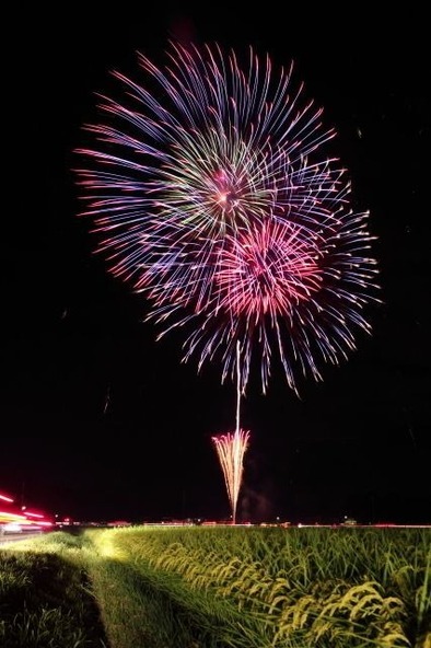 収穫間近の稲穂を照らす、風情ある花火大会です