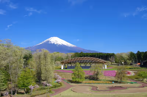 富士山樹空の森