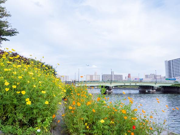 運河のきらめきと花のコントラストが楽しめます(画像提供:M-Picking / PIXTA)