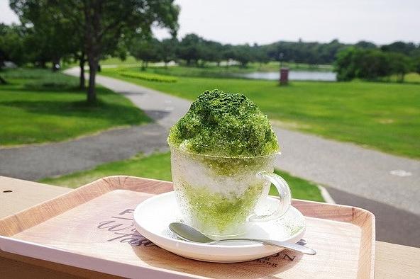 PlayCafeのかき氷抹茶(500円)、コキアそっくりなフォルム