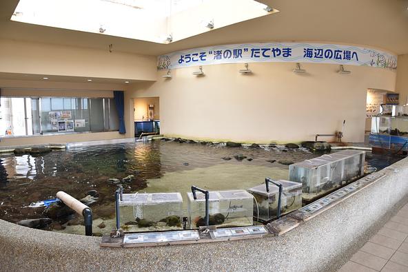 海辺の広場