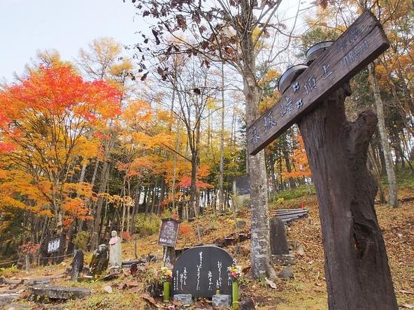 山あいを抜ける峠道が続く「暮坂峠」(画像提供:ググっとぐんま写真館)