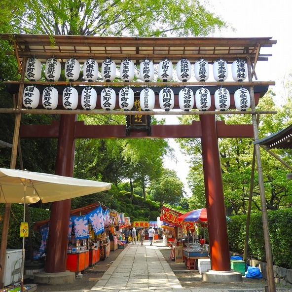 神社の鳥居には、高張提灯(たかはりちょうちん)が飾られます