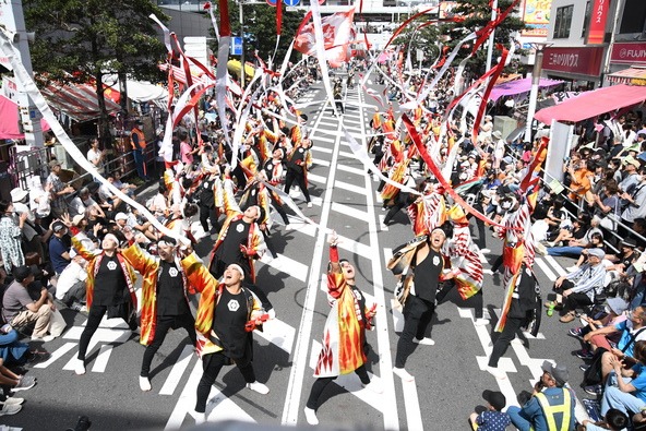 迫力満点のよさこい演舞も人気です