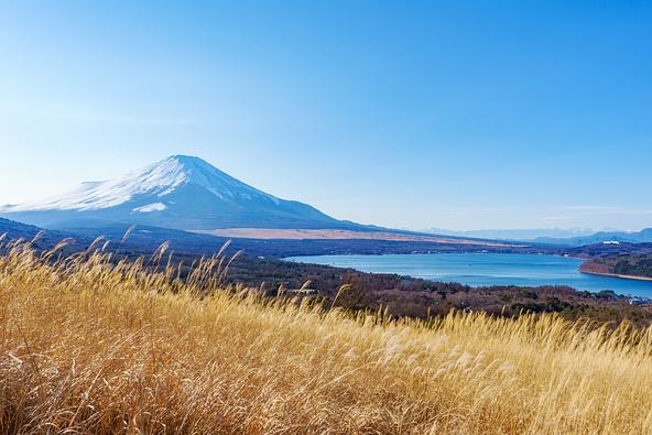 明神山から見たススキ野原と山中湖、富士山(画像提供:T.Tadanobu / PIXTA)