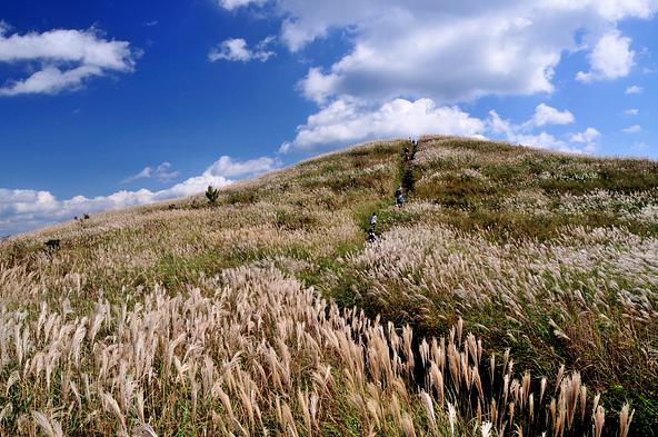 ススキの草原を歩きながら山頂へ(画像提供:k-hiro / PIXTA)