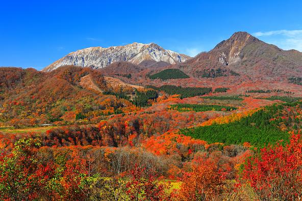 快晴の鬼女台展望台から見た紅葉の大山(画像提供:kazukiatuko / PIXTA)