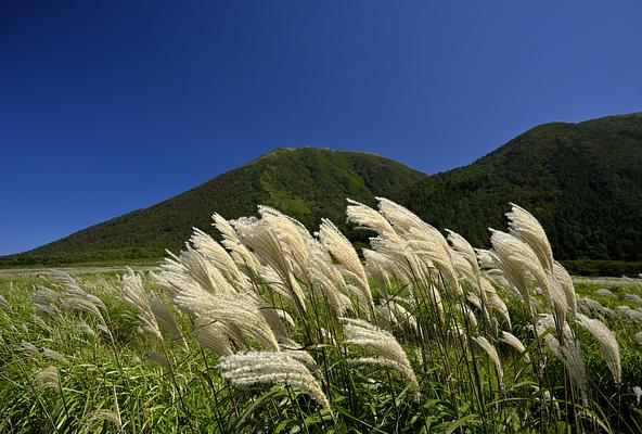 秋の三瓶山(画像提供:児島写真店 / PIXTA)