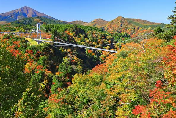 「九重“夢”大吊橋」の紅葉も必見(画像提供:kazukiatuko / PIXTA)
