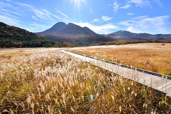 タデ原湿原(長者原)の自然研究路(画像提供:KAZE / PIXTA)