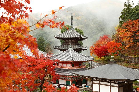 奥大和の自然豊かな景観