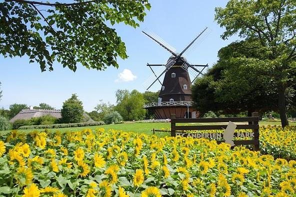 四季折々の花が咲き誇る人気スポット