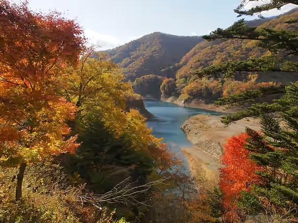 青い湖面と紅葉のコントラストが美しい秋の風景(画像提供:ググっとぐんま写真館)