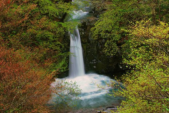 紅葉の名所「楓仙峡」の自然に囲まれた「小泉の滝」(画像提供:タカ坊 / PIXTA)