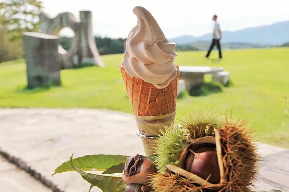 笠間市の特産「栗」を贅沢に使ったソフトクリームが人気