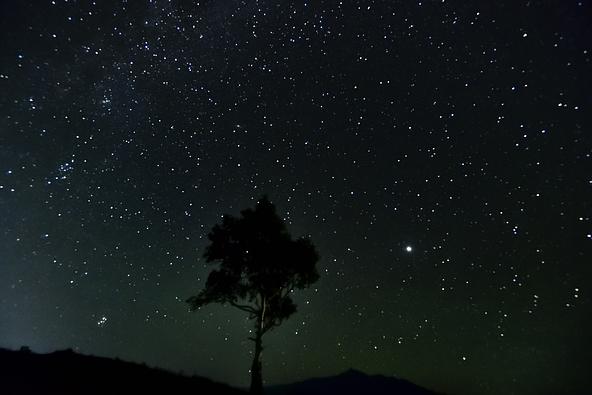 「ほしかぜの丘」の上空に広がる星空(画像提供:k-amano / PIXTA)