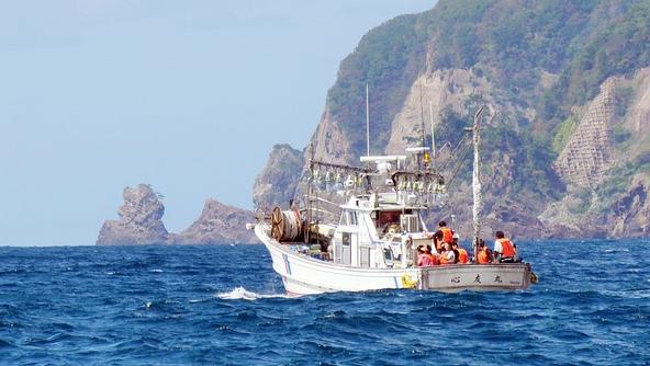 漁船から眺める越前の海