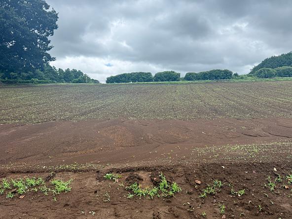 四季の丘(2026年9月9日撮影)