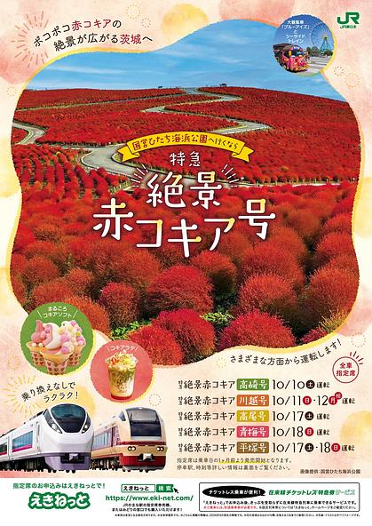特急「絶景赤コキア号」