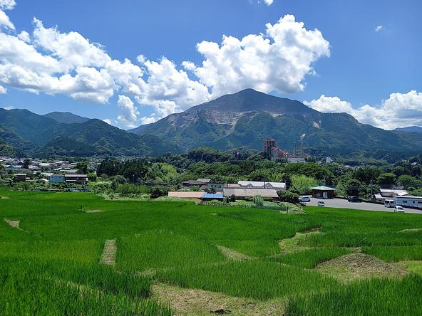 稲が青々と輝く初夏の棚田