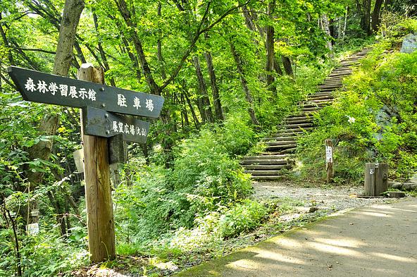 丸山山頂へ向かうハイキングコース(画像提供:Green Cap 55 / PIXTA)