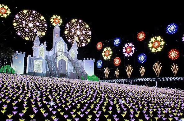 花をモチーフにしたイルミネーションが登場(過去開催の様子)