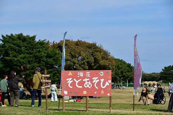 海・花そとあそび