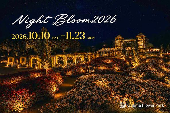 ぐんまフラワーパークプラスの夜の風景