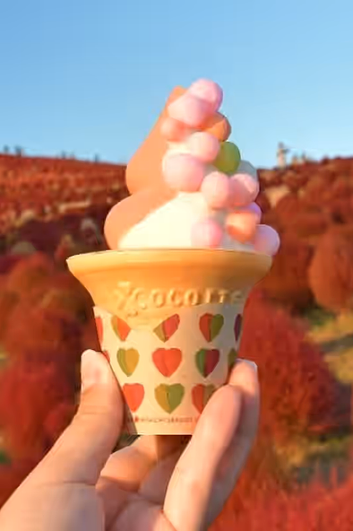 まるころコキアソフト 550円