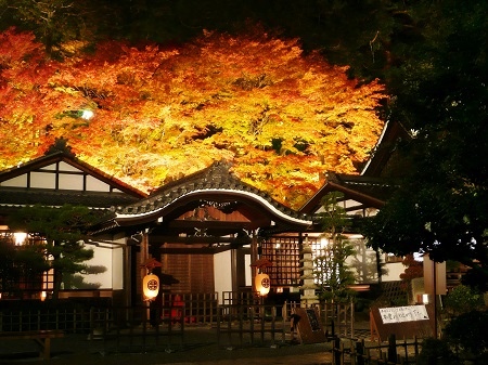ライトアップされた紅葉と、温泉寺の歴史ある建物