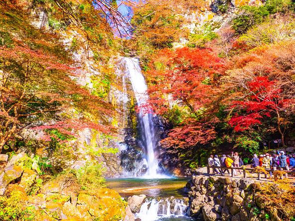 紅葉シーズンの「箕面大滝」(画像提供:shimanto / PIXTA)