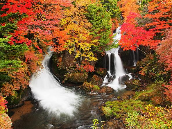 紅葉が見頃を迎えた滝つぼ(画像提供:おけいたん / PIXTA)