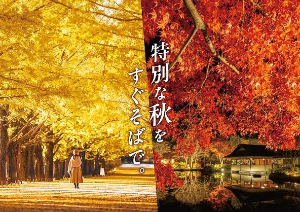 黄葉・紅葉まつり&秋の夜散歩2026