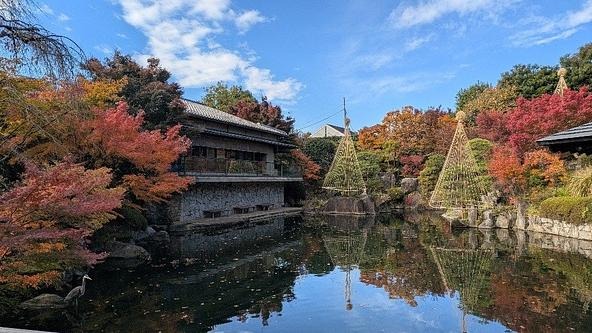 秋の日本庭園の景色をお楽しみください