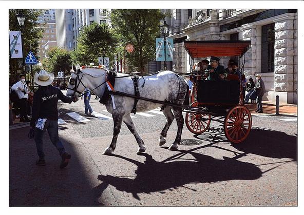 イギリス製の馬車で乗車体験が楽しめます