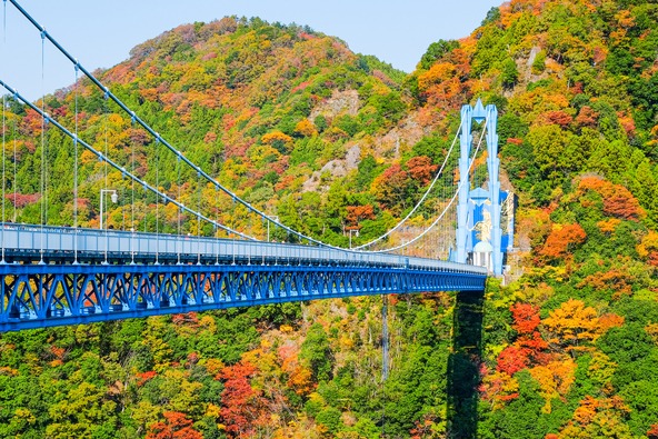 紅葉の名所としても知られる「竜神大吊橋」
