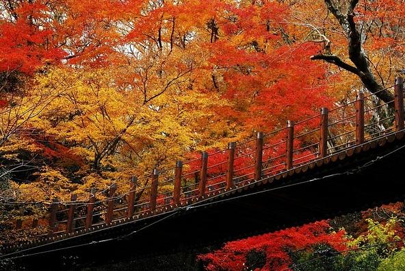 絶景を楽しむ!美しい紅葉の花貫渓谷