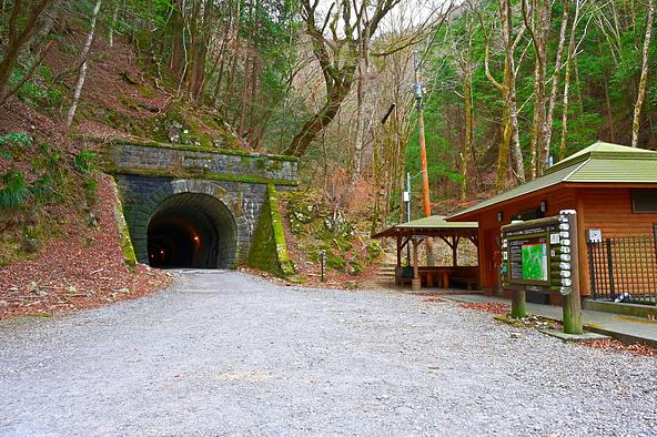 森の中にたたずむ、歴史ある石造りの天城山隧道(画像提供:Green Cap 55 / PIXTA)