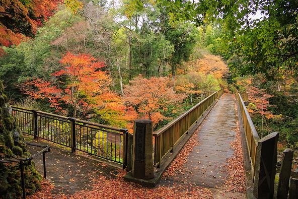 紅葉に彩られた天城湯ケ島の出会い橋(画像提供:オフィスK / PIXTA)