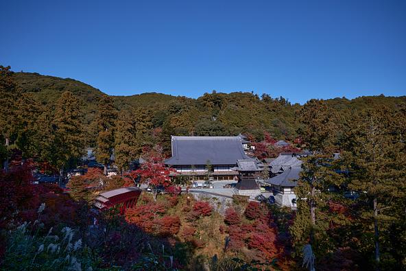 大本山方広寺(画像提供:浜松・浜名湖ツーリズムビューロー)