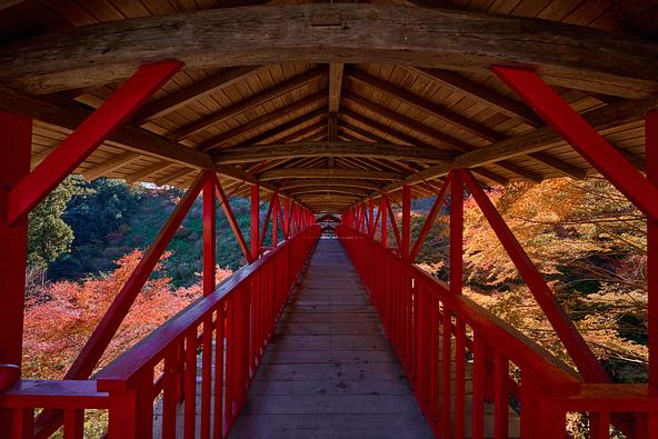 紅葉シーズンの「方広寺」(画像提供:浜松・浜名湖ツーリズムビューロー)