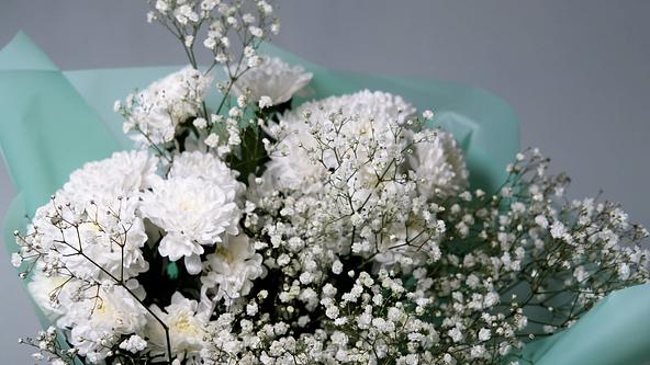 白い菊の花言葉は「真実」(画像提供:ekaterinabyuksel / PIXTA)