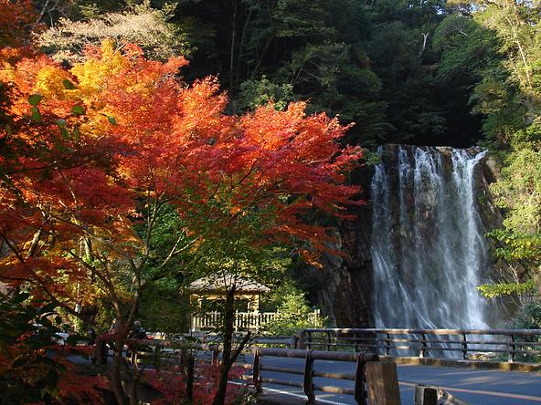 例年の紅葉の様子 丸尾滝