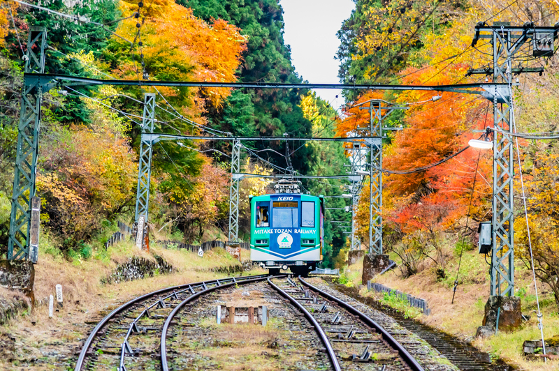 【2025最新】秋川渓谷や御岳山でイベント開催! 奥多摩エリアの紅葉まつり4選