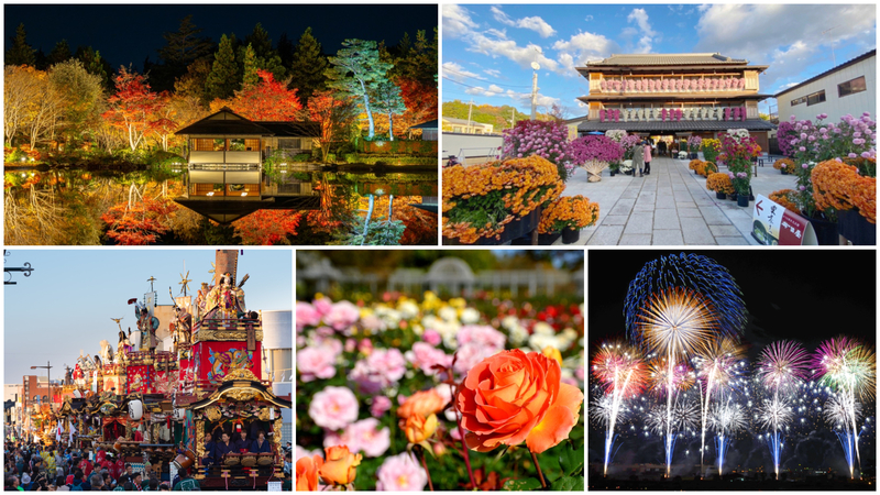 【関東】2025年11月注目イベント!伝統行事や秋祭り・秋の花火大会などおすすめ厳選