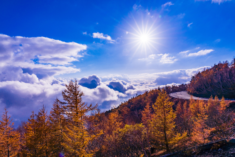 【2025最新】雲海や富士山との絶景も!静岡県の紅葉名所と穴場26選 関東から日帰り&イベント満喫