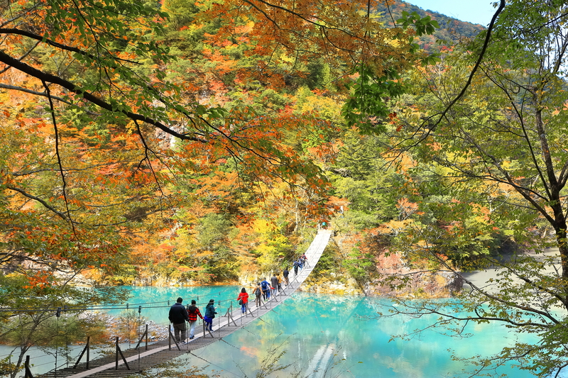 【2025】関東近郊の「紅葉吊り橋」18選|絶景✕スリル満喫!周辺観光も紹介&日帰り・1泊旅にも◎