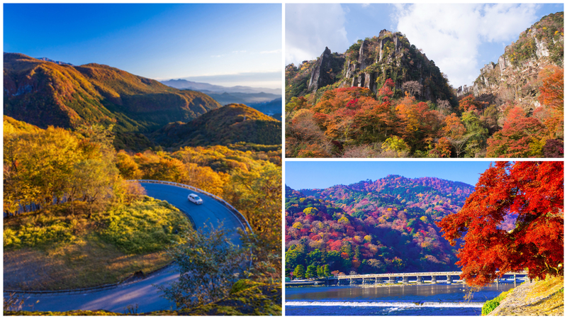 「日本三大紅葉名所」とは?一度は行きたい各地の魅力と見頃を解説