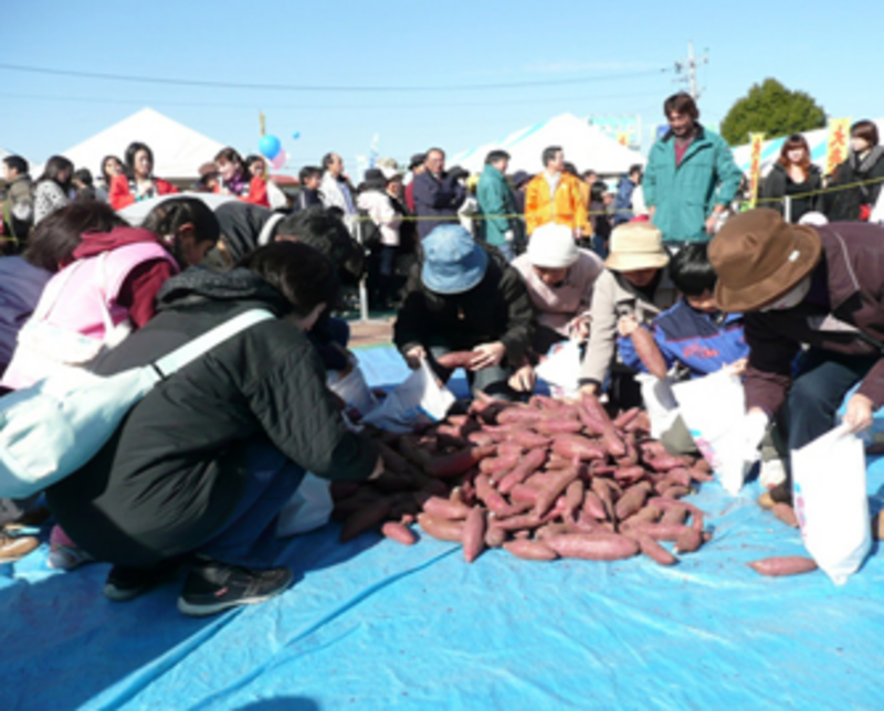 【11/23開催】「東海I~MOのまつり」サツマイモ掘り&つかみ取りで秋の味覚を満喫